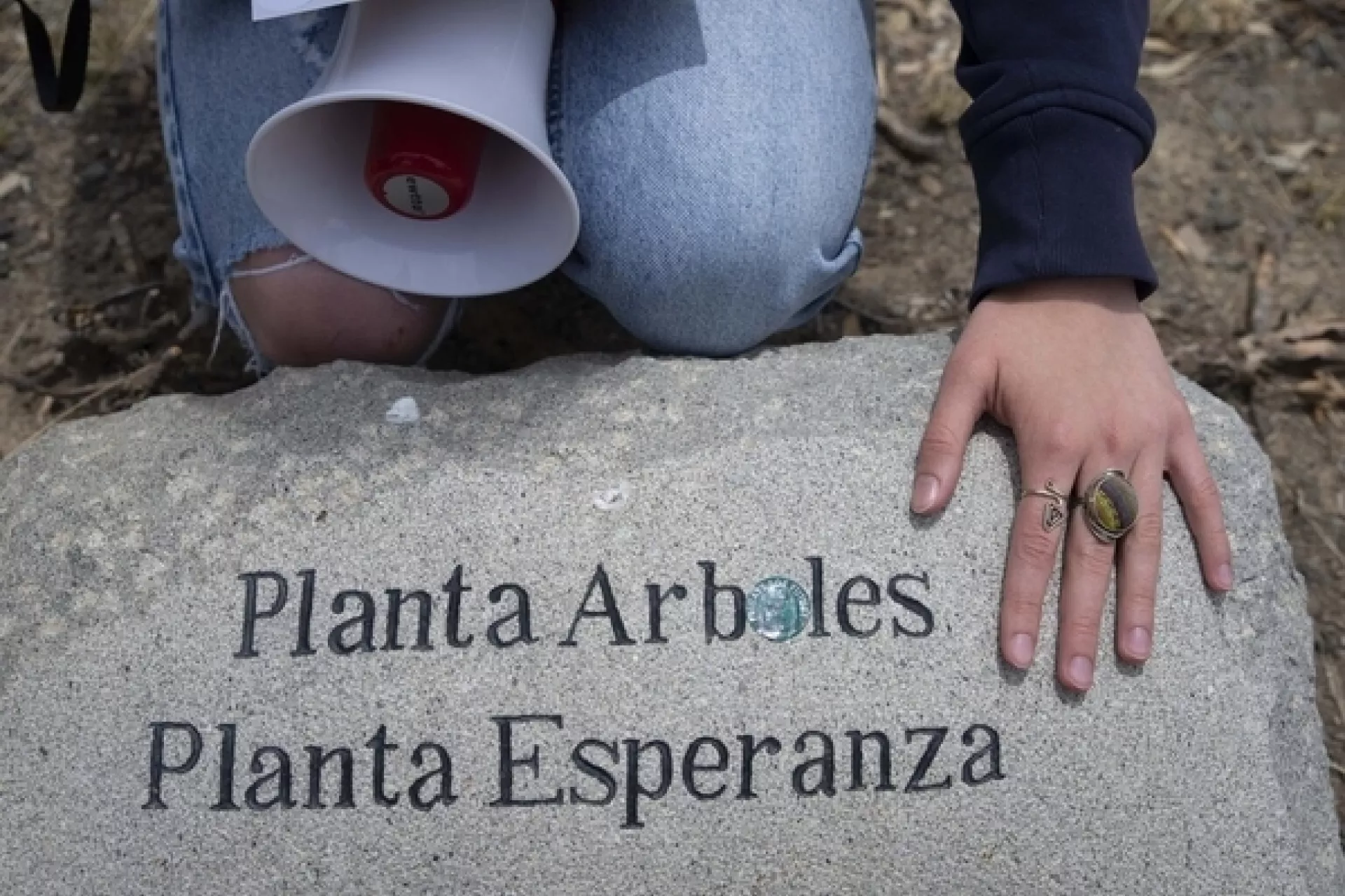 Banner Plant trees, plant hope.