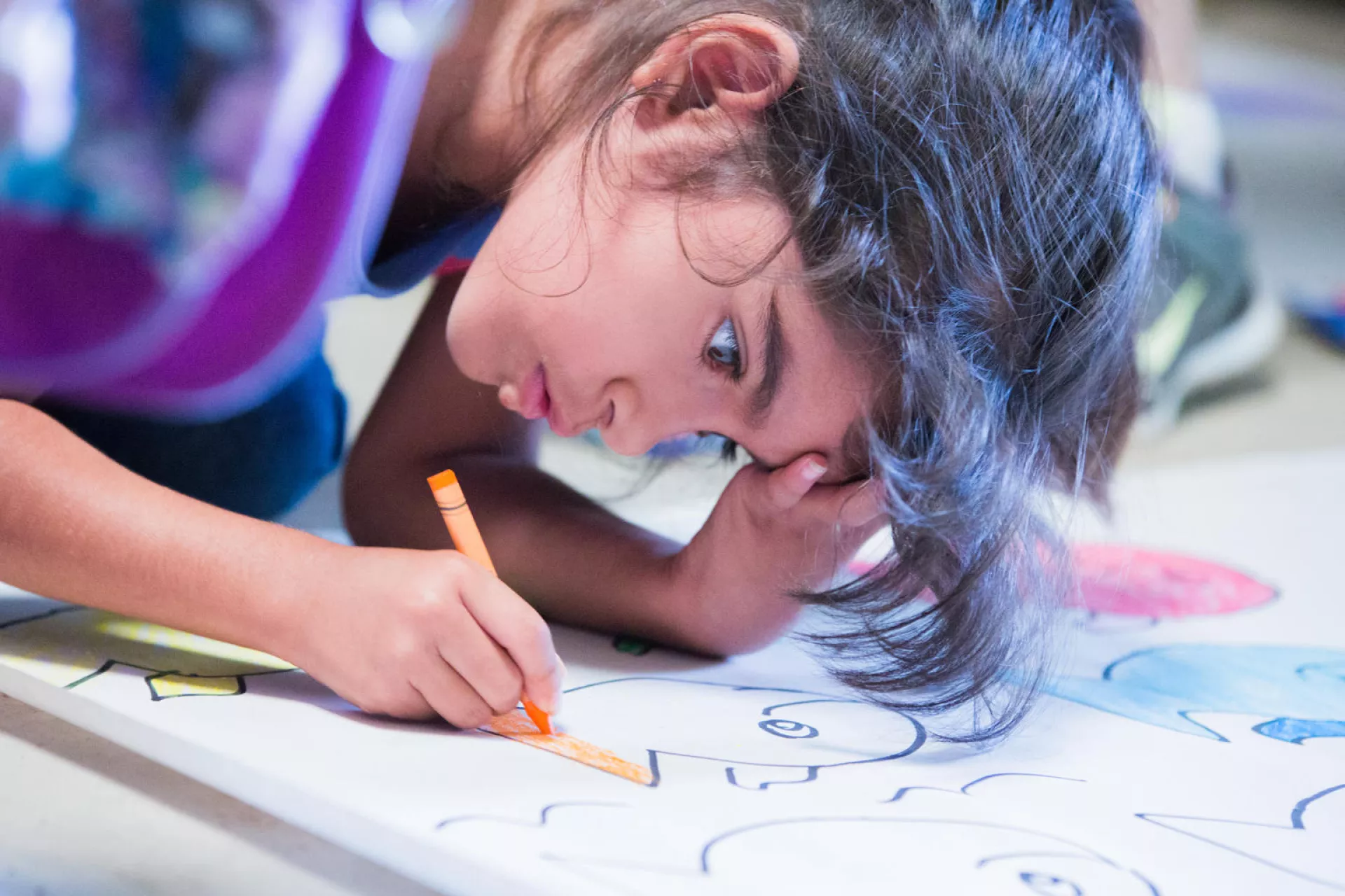 Educaci&oacute;n b&aacute;sica