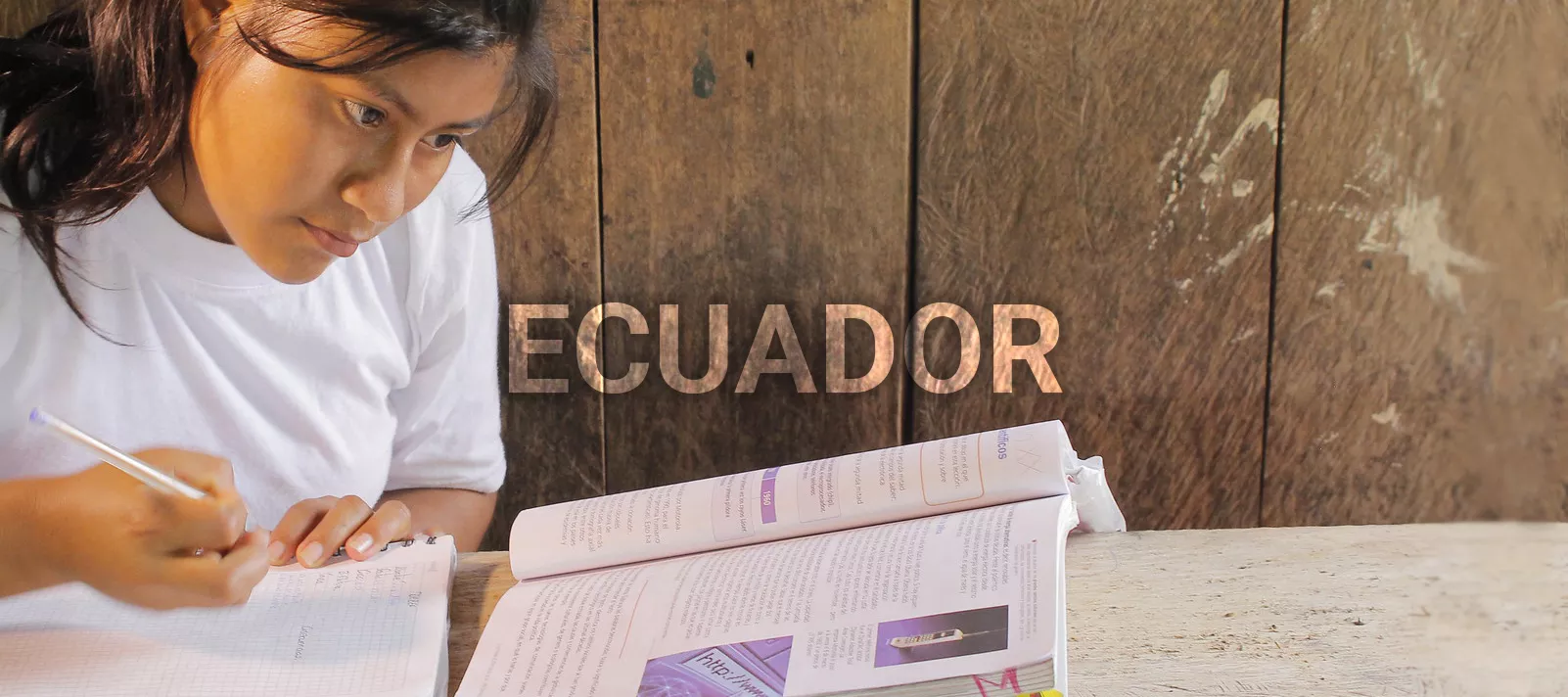 Materiales y herramientas de aprendizaje en lenguas ind&iacute;genas