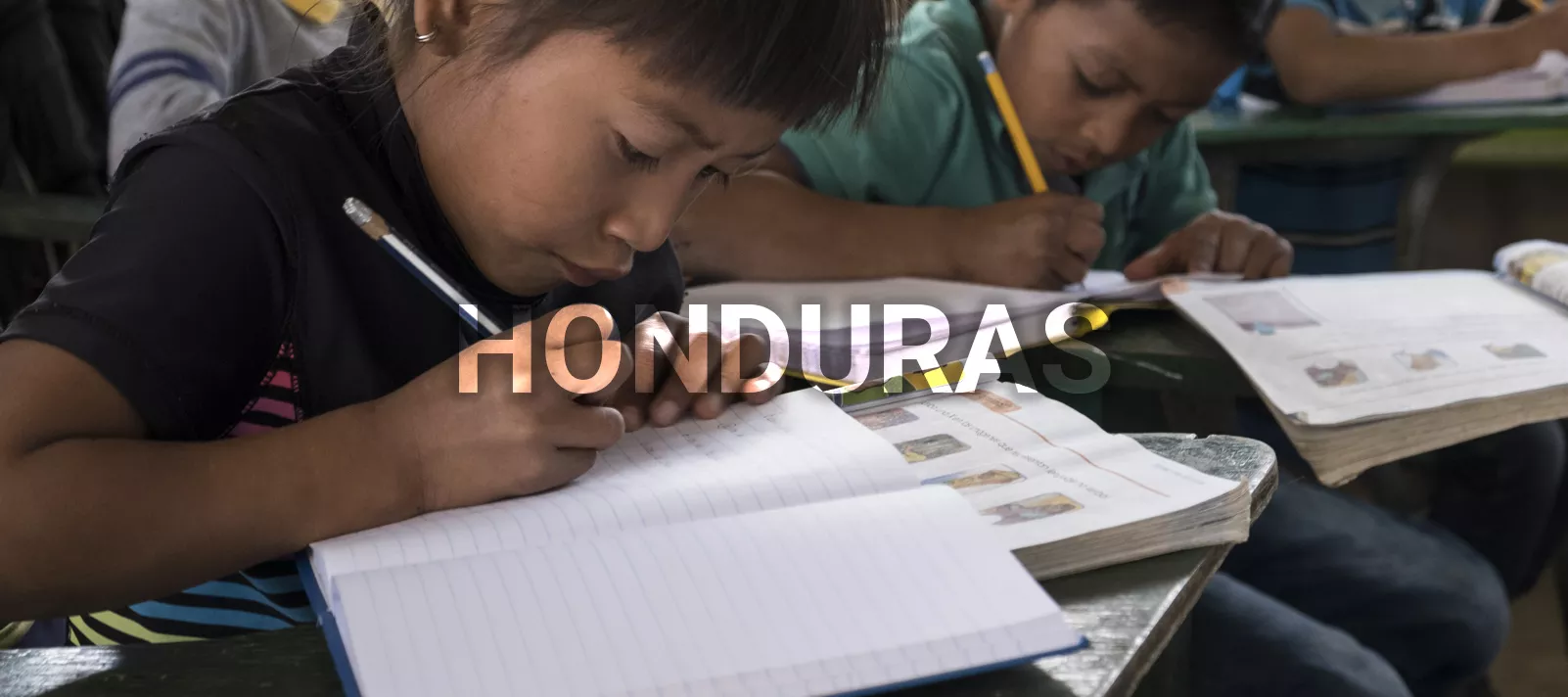 Materiales y herramientas de aprendizaje en lenguas ind&iacute;genas 