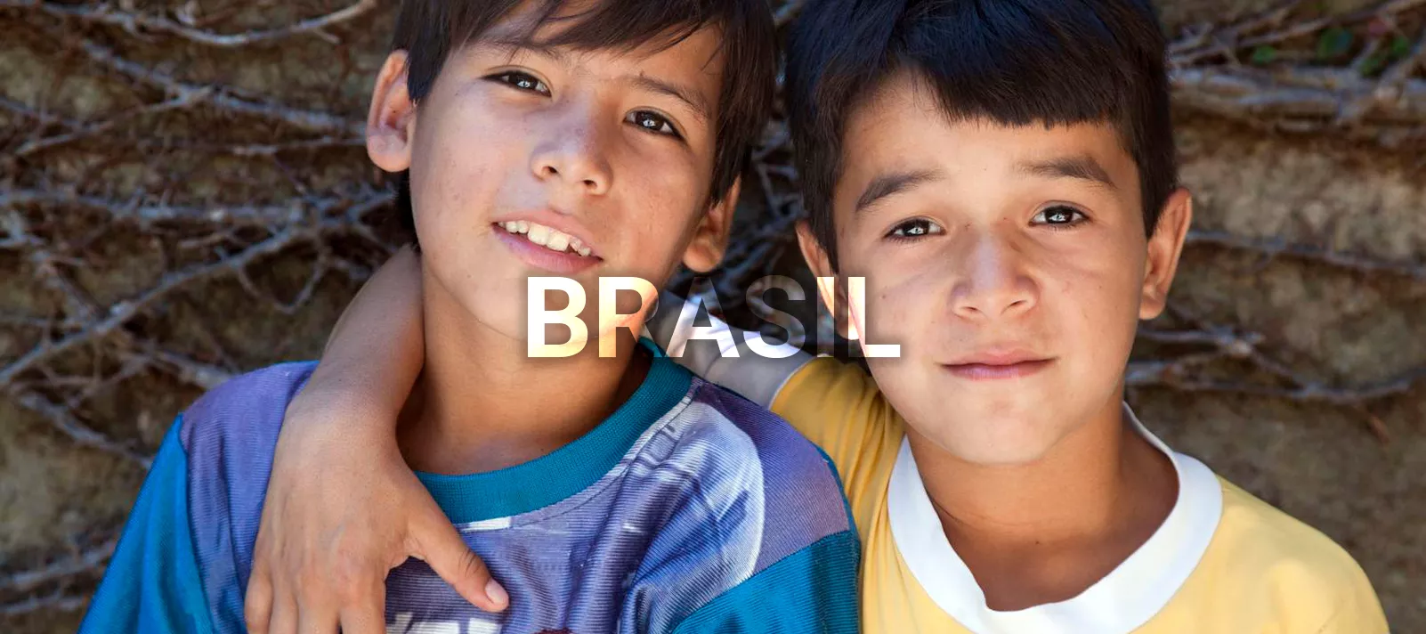 Portal intercultural Brasil