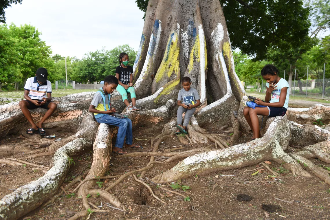 In Jamaica, students sit under a tree to use the internet.