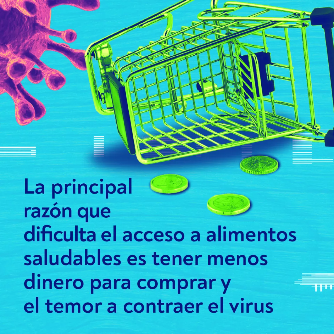 Banner La principal raz&oacute;n que dificulta el acceso a alimentos saludables es tener menos dinero para comprar y el temor a contraer el virus.