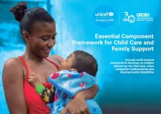 Cover Essential Component Framework for Child Care and Family Support