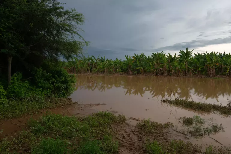 Un terreno inundado
