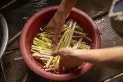 Koun, 14, Xieng Khouang Province, washes freshly gathered bamboo shoots to prepare for the family&rsquo;s evening meal at home.