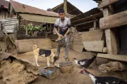 Koun, 14, Xieng Khouang Province, Lao PDR, feeds the family&rsquo;s chickens and dog at home.