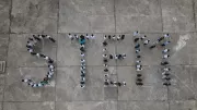 STEM
