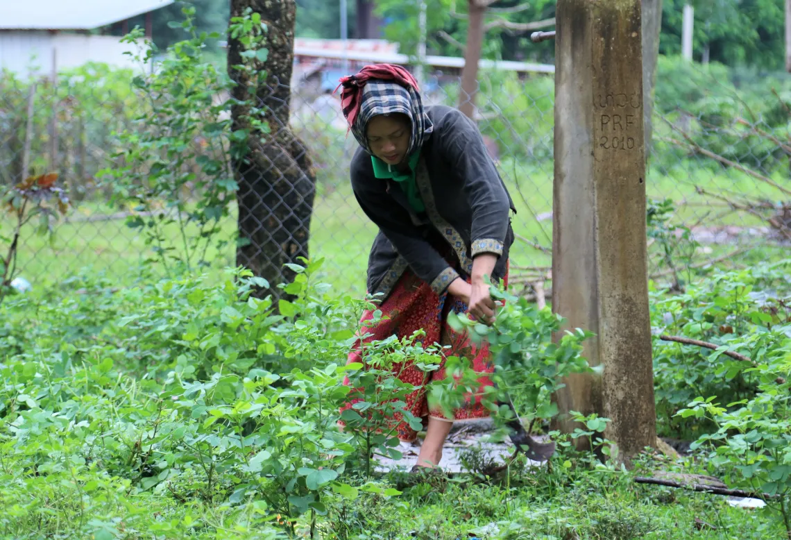 Before heading out to the farm, she gathers and cuts the fire wood; and clears their backyard garden of bushes. &ldquo;I also consider this a bit of warm-up, before the real hard work at the farm awaits,&rdquo; she says with a smile.