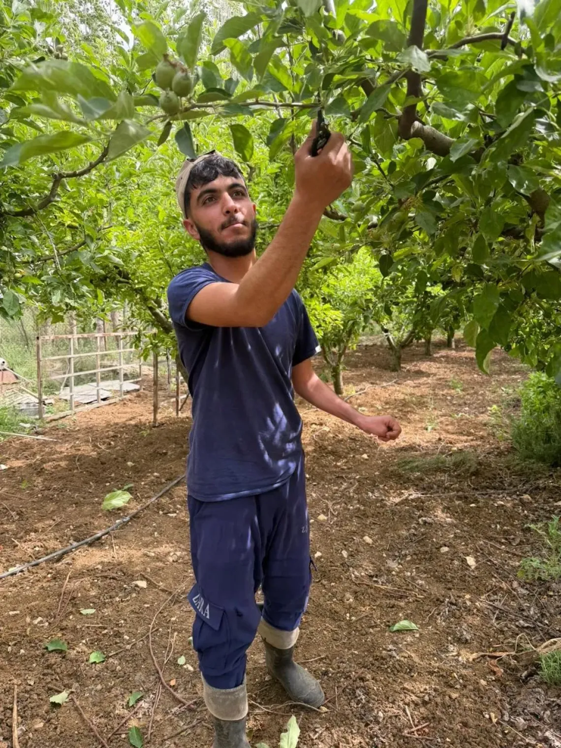 Ibrahim. 20 years old, L2E programme participant cutting a branch 