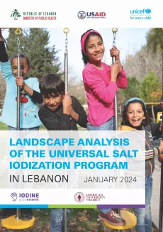 Landscape analysis of the universal salt iodization program in Lebanon