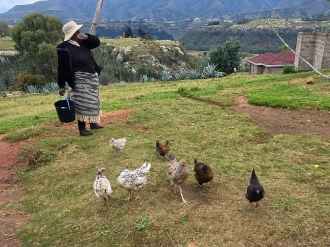 Mampho tends to her chickens