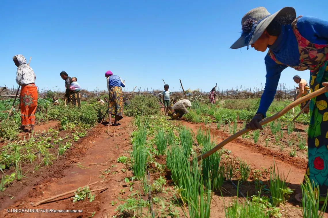 October 17, 2024 - Koronga Centre, Commune of Ambatotsivala, Beloha District, Androy Region, Madagascar : a few residents, including Mrs Lianasoa (foreground), 40, have come together to work on the project&rsquo;s vegetable garden.