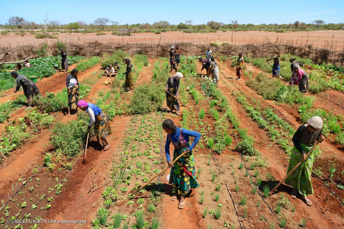Koronga Centre, Commune of Ambatotsivala, Beloha District, Androy Region, Madagascar : a few residents, including Mrs Lianasoa (center foreground), 40, have come together to work on the project&rsquo;s vegetable garden. The village is one of the beneficiaries of MIONJO funding.
