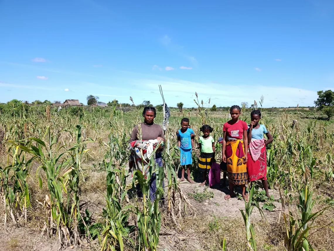 FILIANE dans le champ de ma&iuml;s et l&eacute;gumineuses d&eacute;vast&eacute;s par les cyclones 