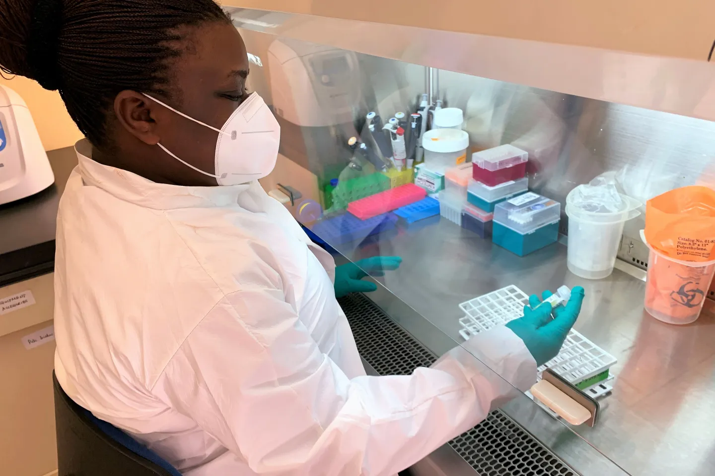 Watipaso extracting a sample that came in that morning 