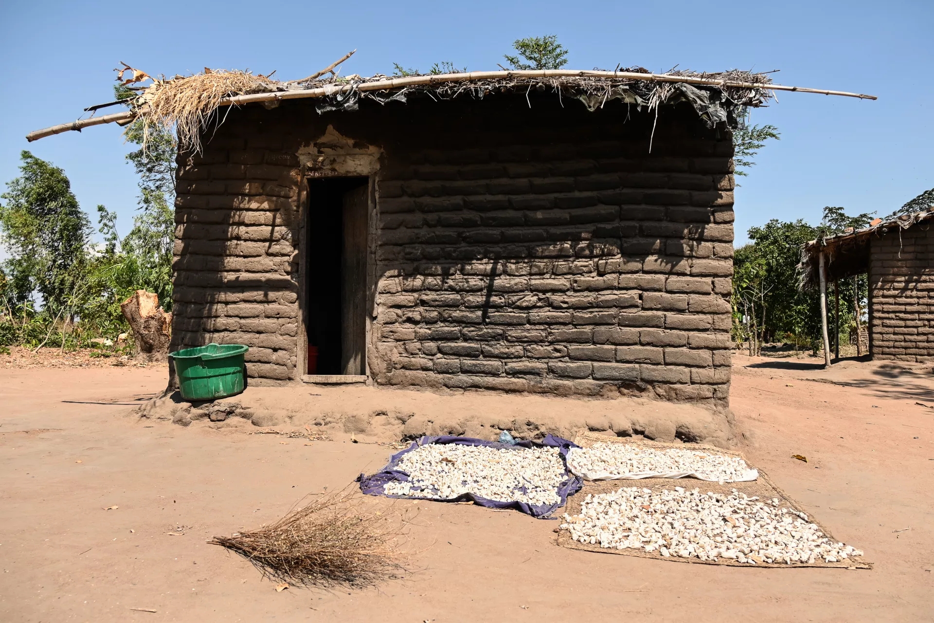 Thandi's home at Mauwa Village in Machinga Southern Malawi 
