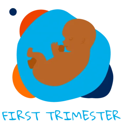 First Trimester