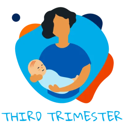 Third trimester