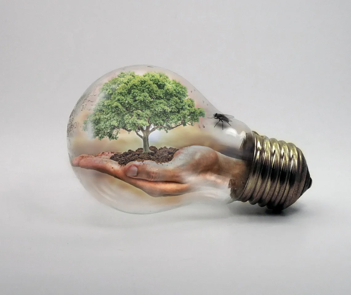 Tree in bulb