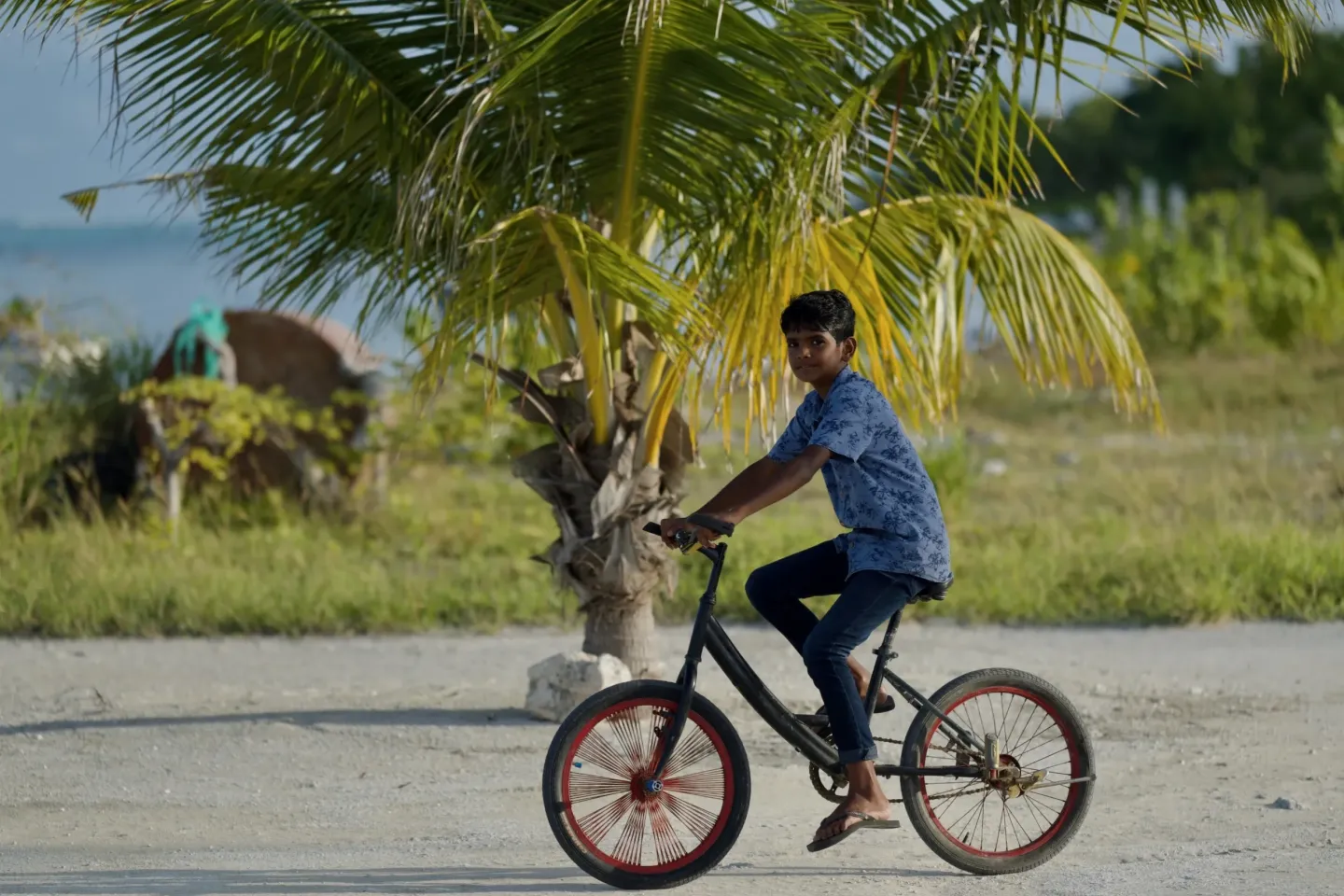 A young boy riding a bicycle on an island road 