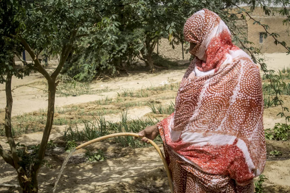 Une femme membre de l&rsquo;association Tahanit de Barize  arrose sa parcelle dans le p&eacute;rim&egrave;tre maraicher de Barize. 