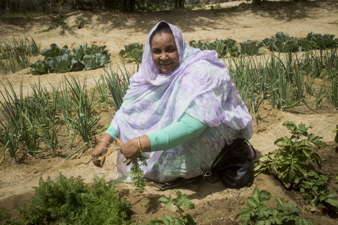 Wartoum Wallet Amala est la pr&eacute;sidente du  comit&eacute; de gestion des points d&rsquo;eau de Barize. Avec  l&rsquo;association Tahanit elles produisent  de la pomme de terre, des choux, du moringa, Barize.