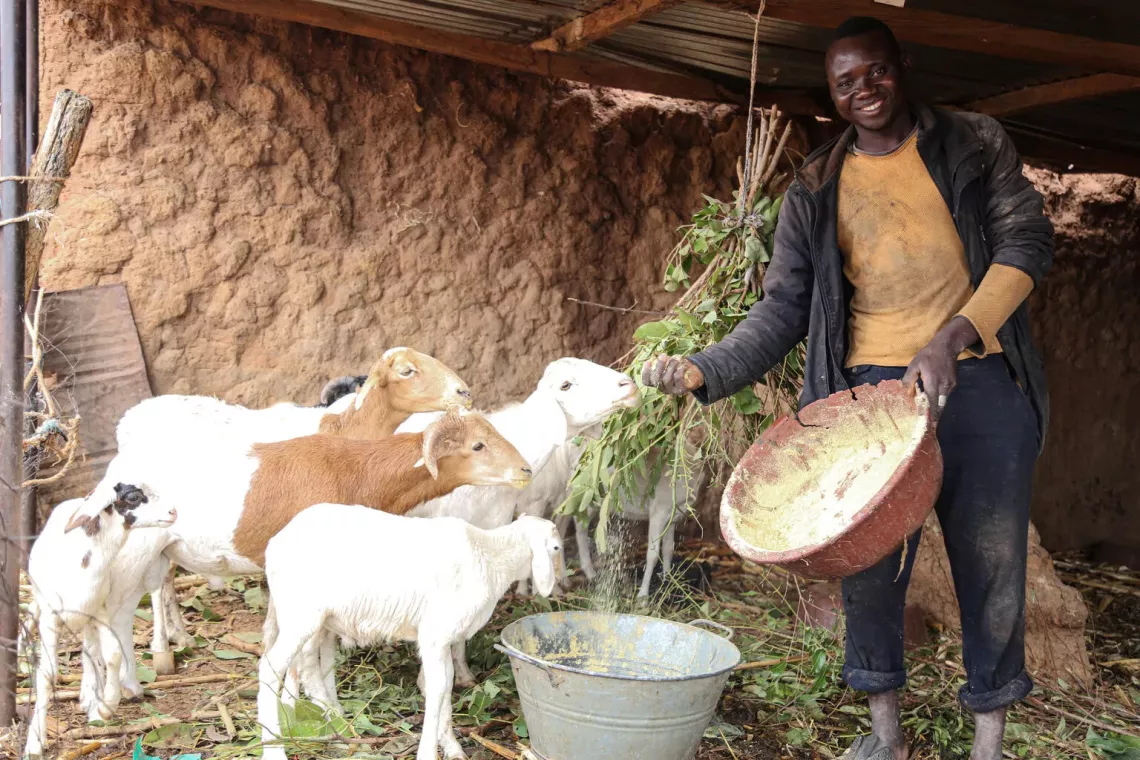 Chaka Konat&eacute;, 30 ans, a commenc&eacute; l&rsquo;&eacute;levage avec trois moutons dans son village Fachoribougou.