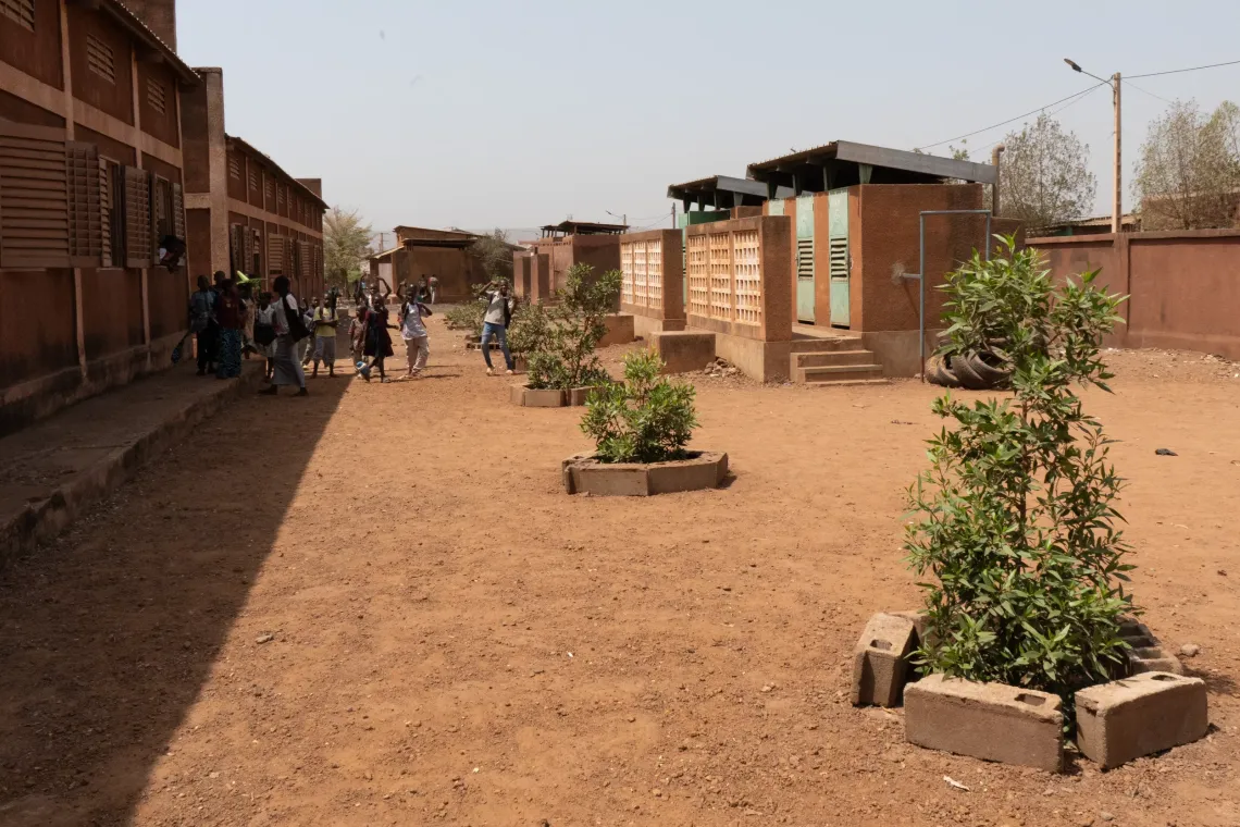 School courtyard with new trees growing