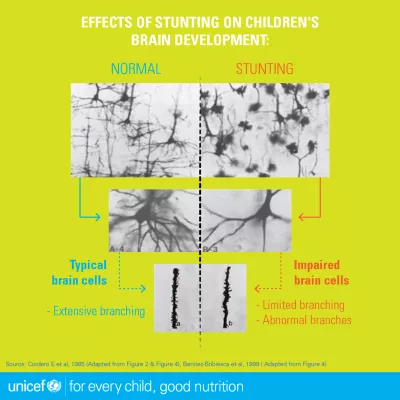 Nutrition infographics-09.png