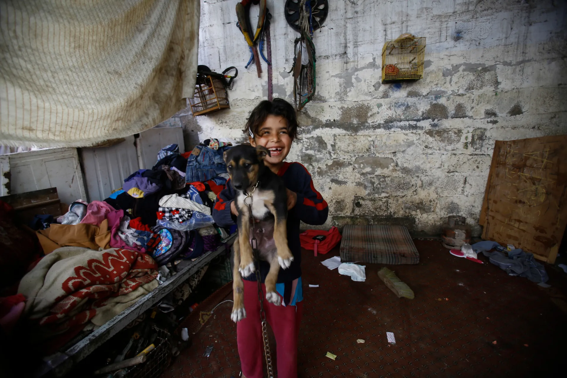 A girl laughing as she holds a dog