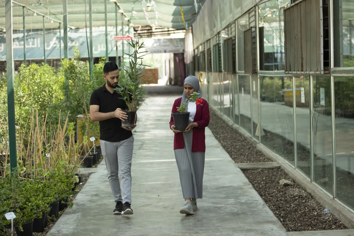 Fatima and Abdul Aleem choose seedlings to plant in Basra