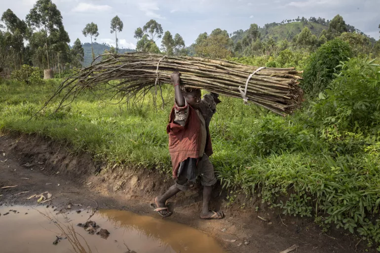 On 11 October 2020 in the Democratic Republic of the Congo (DRC), a displaced child carries bundles of sticks along the road between Kitchanga and Mweso in North Kivu province