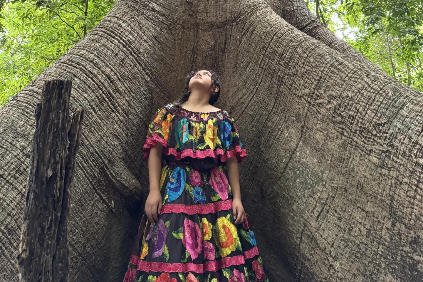 Una adolescente en Chiapas mirando un gran &aacute;rbol