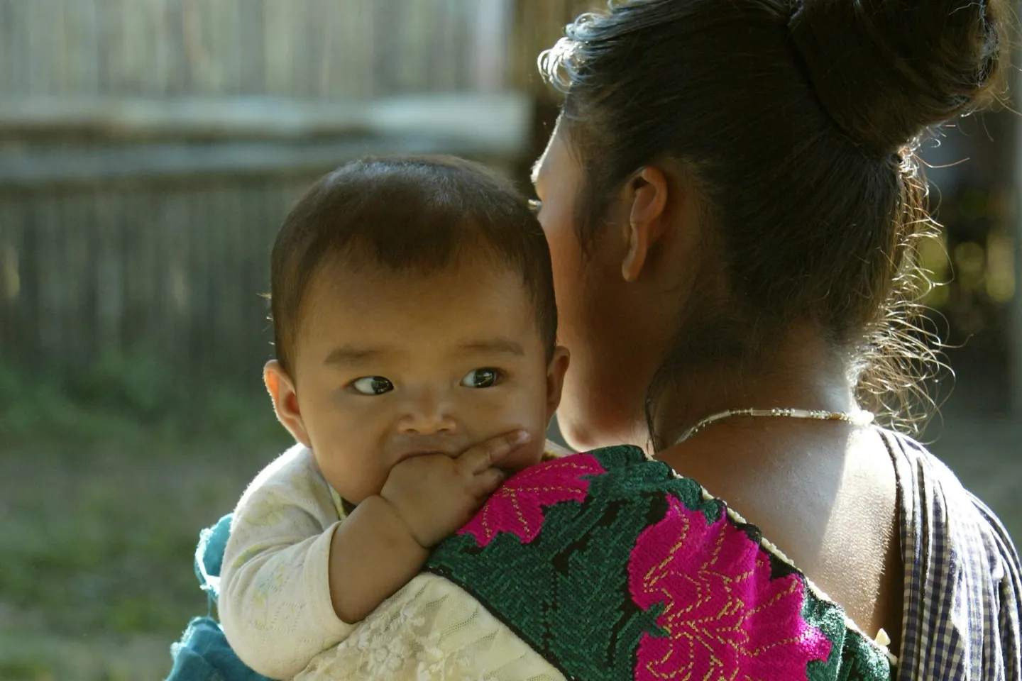 Gu&iacute;a que recorre conceptual y metodol&oacute;gicamente varios de los contenidos centrales para la planeaci&oacute;n de un trabajo que aborde el problema del embarazo adolescente.