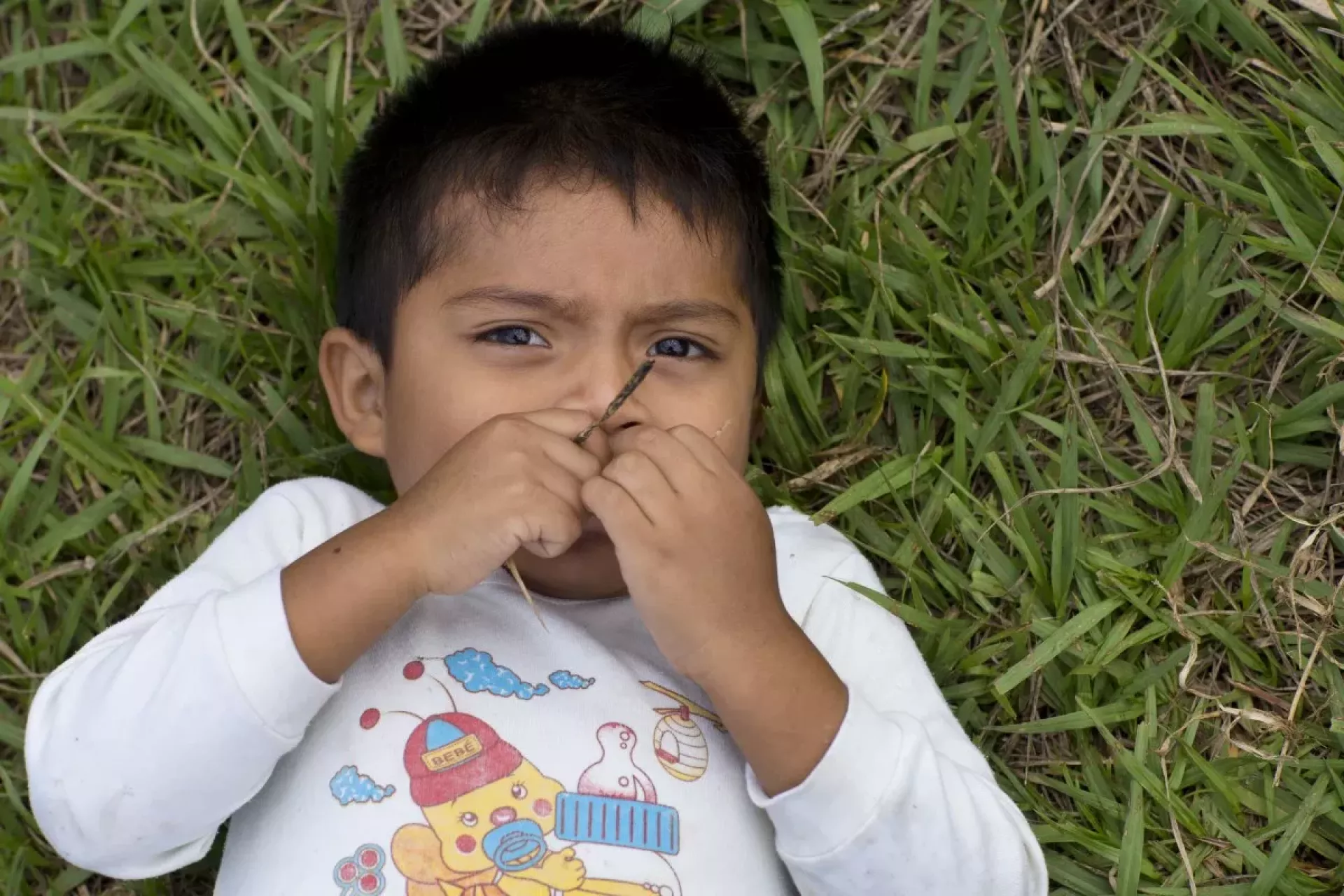 Un ni&ntilde;o acostado en el pasto