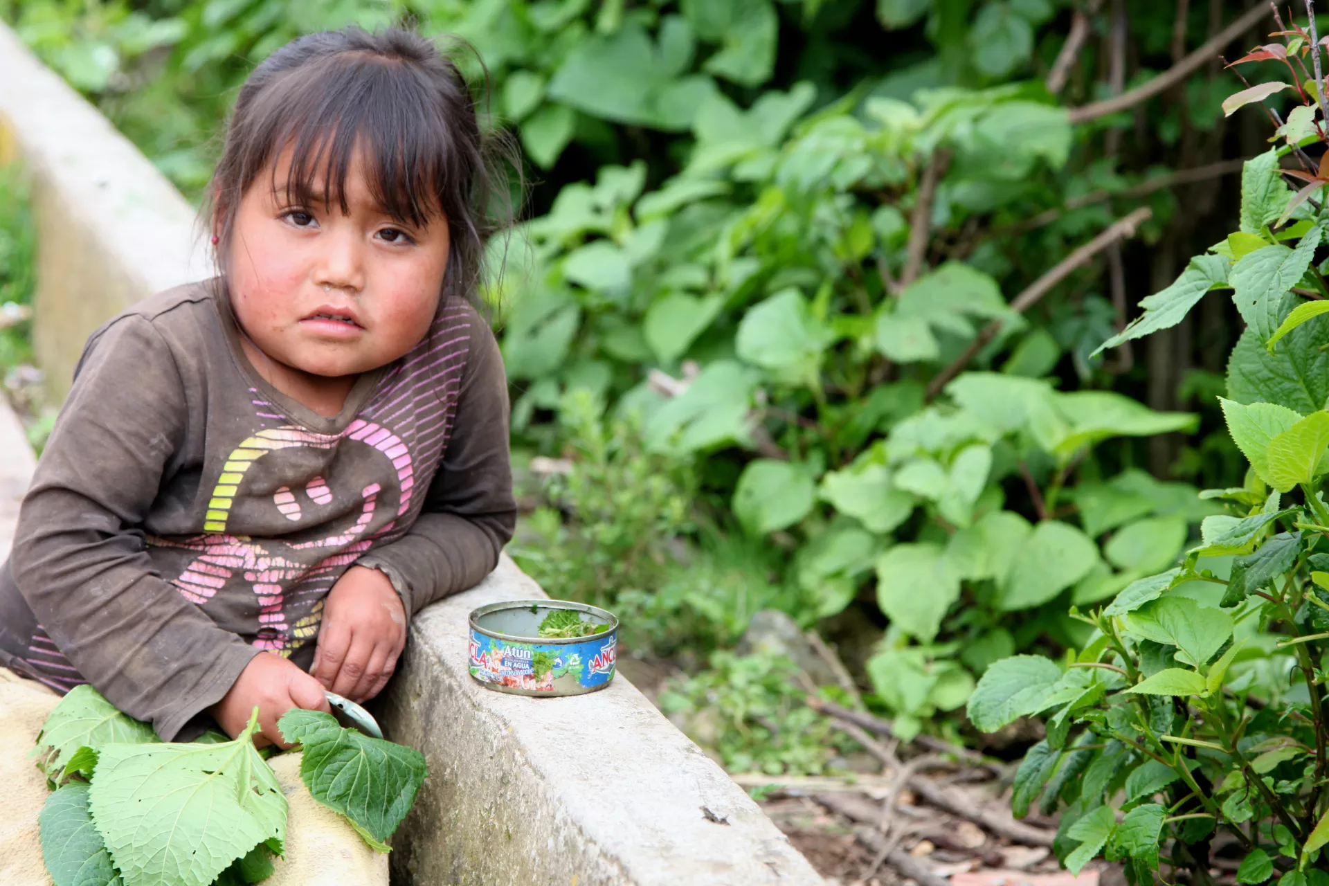 En M&eacute;xico, se estima que 1 de cada 8 ni&ntilde;os y ni&ntilde;as menores de 5 a&ntilde;os presentan una talla baja (moderada o severa) para su edad
