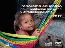 Este panorama presenta informaci&oacute;n sobre las condiciones que ofrece el Estado Mexicano para tratar de garantizar el derecho a una educaci&oacute;n de calidad de la poblaci&oacute;n ind&iacute;gena y afrodescendiente.