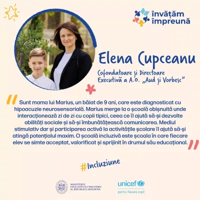 incluziune