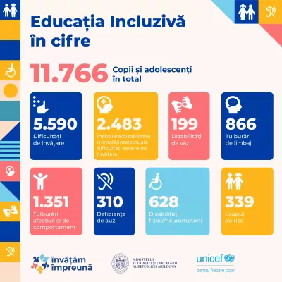 incluziune