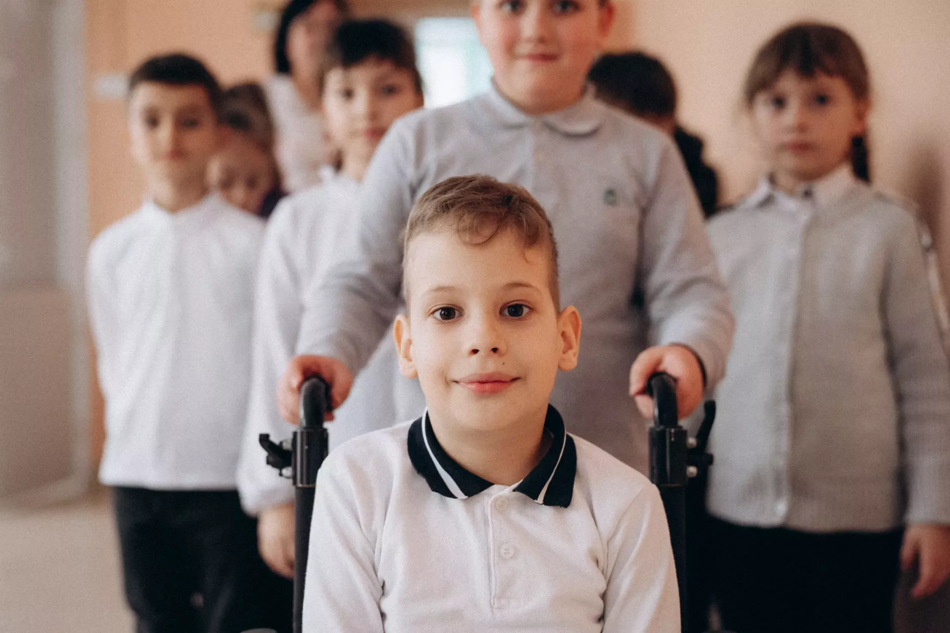 incluziune
