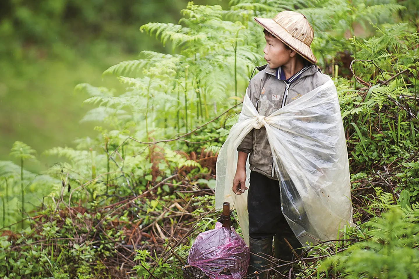 A kid in a forest