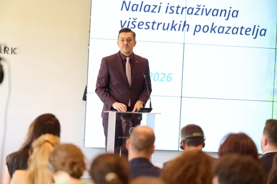 MICS presentation