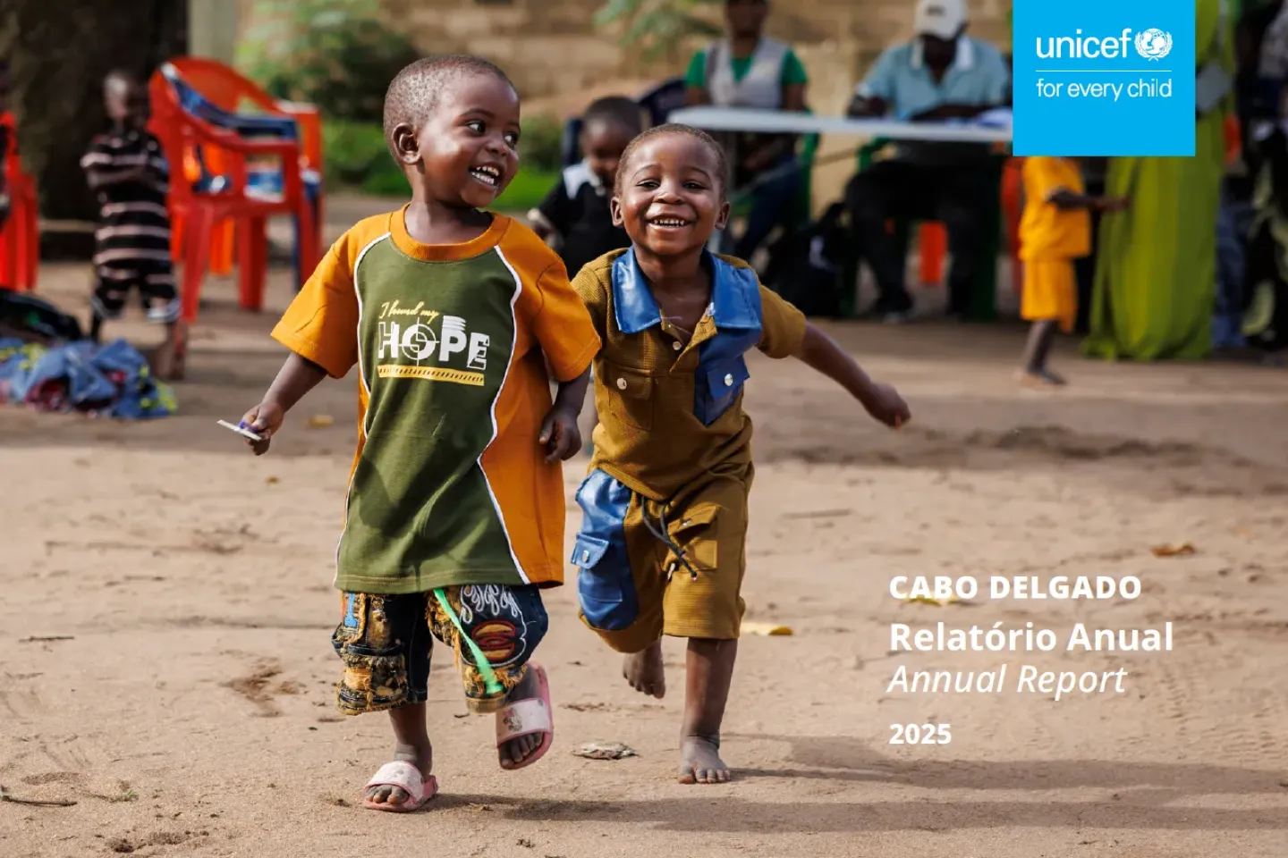 Cabo Delgado: Relat&oacute;rio Anual 2025