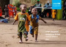 Cabo Delgado: Relat&oacute;rio Anual 2025