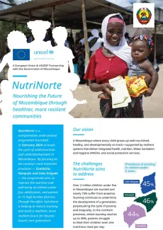 A European Union & UNICEF Partnership with the Government of Mozambique