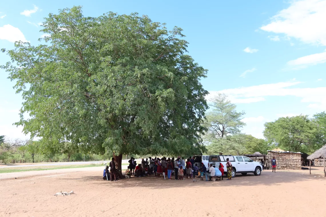 A group of mothers gathered under a tree waiting for health screening services for their children