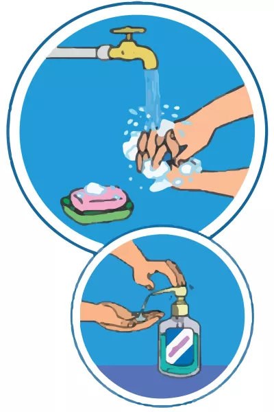 This image shows an illustration of a pair of hands washing under a tap using soap, and a pair of hands using hand sanitizer