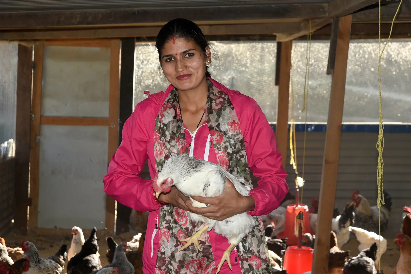 Sharada Khadka holds a hen inside her poultry farm in Doti, Nepal