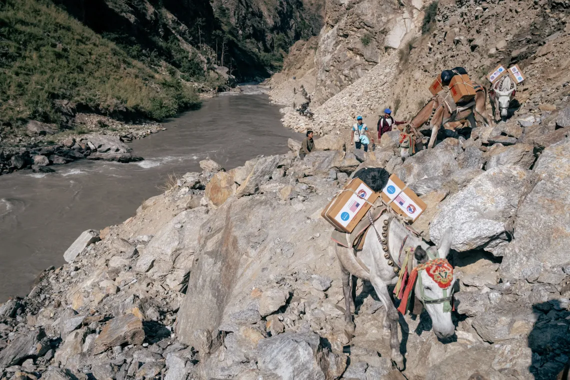 A caravan of mules navigates narrow, difficult paths through the rugged mountains of Dolpa District, transporting various supplies, including life-saving Ready-to-Use Therapeutic Food (RUTF) - provided by the US Government to Nepal through UNICEF - to the remote Kaike Municipality. 